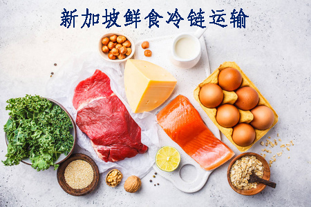 新加坡鲜食冷链运输.jpg